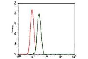 Image no. 5 for anti-BPI Fold Containing Family B, Member 1 (BPIFB1) (AA 248-475) antibody (ABIN1502165)