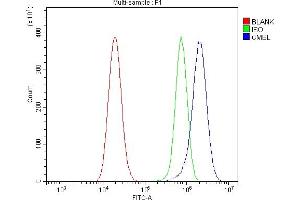Flow Cytometry analysis of U20S cells using anti-L/CMBL antibody (ABIN7599150).
