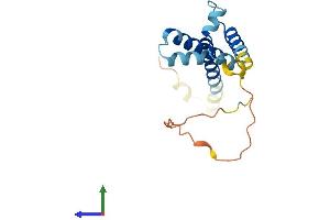 Protein Structure (PS) image for Hairy and Enhancer of Split 5 (HES5) (AA 1-166) protein (His tag) (ABIN7548295)