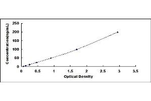 Typical standard curve (Anti-Sperm Antibody (AsAb) ELISA 试剂盒)