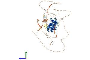 Protein Structure (PS) image for rho GTPase Activating Protein 17 (ARHGAP17) (AA 1-846) protein (His tag) (ABIN7563724)