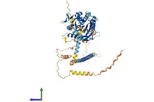 Protein Structure (PS) image for Kinesin Family Member 12 (KIF12) (AA 1-646) protein (His tag) (ABIN7548782)