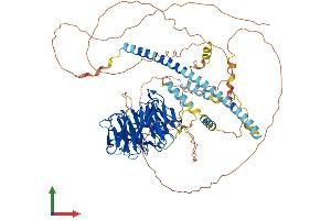 Protein Structure (PS) image for Striatin, Calmodulin Binding Protein 3 (STRN3) (AA 1-797) protein (His tag) (ABIN7546377)