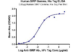 ELISA image for Signal-Regulatory Protein gamma (SIRPG) (AA 29-360) protein (His-Avi Tag) (ABIN7275658)