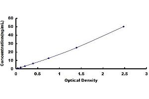 Creatine Kinase-MB Isoenzyme ELISA Kit