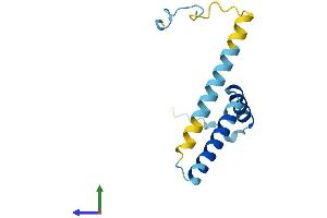 Protein Structure (PS) image for Family with Sequence Similarity 32, Member A (FAM32A) (AA 1-112) protein (His tag) (ABIN7547523)
