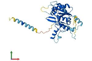 Protein Structure (PS) image for C1GALT1-Specific Chaperone 1 (C1GALT1C1) (AA 1-316) protein (His tag) (ABIN7561708)