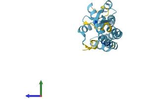 Protein Structure (PS) image for COMM Domain Containing 4 (COMMD4) (AA 1-199) protein (His tag) (ABIN7546679)