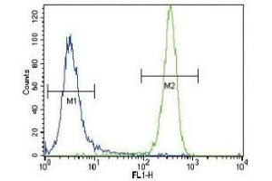 NRAS antibody flow cytometric analysis of NCI-H460 cells (green) compared to a negative control (blue). (GTPase NRas 抗体  (AA 147-179))