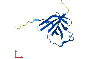 Protein Structure (PS) image for T-Cell Leukemia/lymphoma 1A (TCL1A) (AA 1-116) protein (His tag) (ABIN7556468)