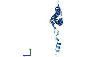 Protein Structure (PS) image for P53 and DNA-Damage Regulated 1 (PDRG1) (AA 1-133) protein (His tag) (ABIN7550587)