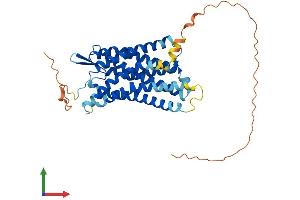 AlphaFold protein structure predicition of Mouse Recombinant P2ry2 Protein, UniprotID P35383