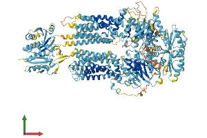 Protein Structure (PS) image for ATP-Binding Cassette, Sub-Family A (ABC1), Member 5 (ABCA5) (AA 1-1642) protein (His tag) (ABIN7551790)