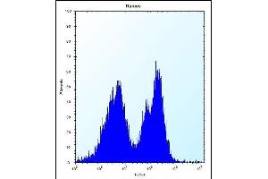 PCDHGA3 Antibody (Center) (ABIN657534 and ABIN2846552) flow cytometric analysis of Ramos cells (right histogram) compared to a negative control cell (left histogram). (PCDHGA3 抗体  (AA 284-311))