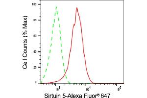 Flow cytometric analysis of Sirtuin 5 expression in HepG2 cells using Sirtuin 5 antibody (ABIN7800355), 1:2,000). (SIRT5 抗体)