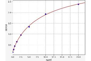 SLC16A1 ELISA 试剂盒