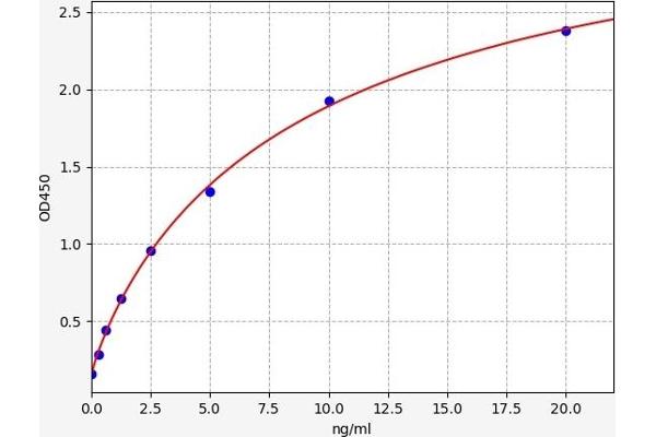 SLC16A1 ELISA 试剂盒