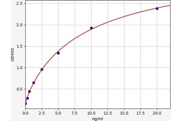 SLC16A1 ELISA 试剂盒