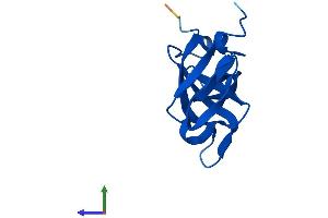 Protein Structure (PS) image for Ribosomal Protein L35a (RPL35A) (AA 1-110) protein (His tag) (ABIN7551436)