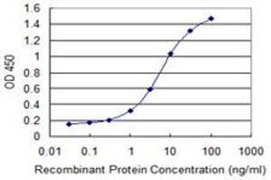 Detection limit for recombinant GST tagged ZNF224 is 0. (ZNF224 抗体  (AA 95-190))