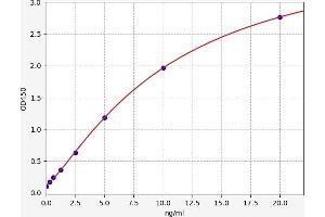 Adiponectin Receptor 1 ELISA 试剂盒