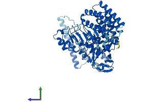 Protein Structure (PS) image for Rab Geranylgeranyltransferase, alpha Subunit (RABGGTA) (AA 1-567) protein (His tag) (ABIN7550710)