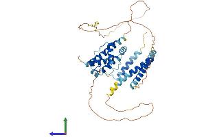 Protein Structure (PS) image for Centrosomal Protein 44kDa (CEP44) (AA 1-390) protein (His tag) (ABIN7553457)