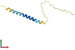 Protein Structure (PS) image for Adipogenin (ADIG) (AA 1-80) protein (Fc Tag) (ABIN7552031)