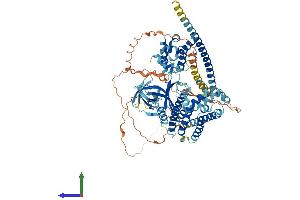 Protein Structure (PS) image for rho Guanine Nucleotide Exchange Factor (GEF) 6 (ARHGEF6) (AA 1-771) protein (His tag) (ABIN7559572)