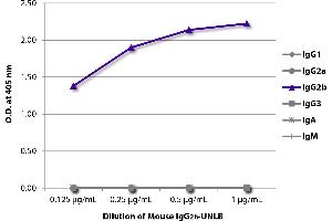 ELISA plate was coated with serially diluted Mouse IgG2b-UNLB and quantified. (小鼠 IgG2b 同型对照)