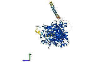 Protein Structure (PS) image for Udp-N-Acetyl-alpha-D-Galactosamine:polypeptide N-Acetylgalactosaminyltransferase 9 (GalNAc-T9) (GALNT9) (AA 1-603) protein (His tag) (ABIN7553983)