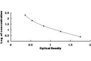 Typical standard curve (Cathepsin D ELISA 试剂盒)