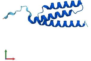 AlphaFold protein structure predicition of Human Recombinant LYRM2 Protein, UniprotID Q9NU23