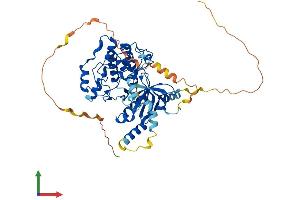 Protein Structure (PS) image for serine/threonine Kinase 32C (STK32C) (AA 1-488) protein (His tag) (ABIN7559600)