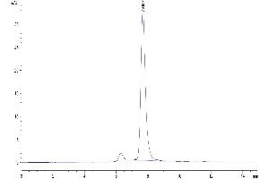 The purity of Cynomolgus B7-H3 is greater than 95 % as determined by SEC-HPLC. (CD276 Protein (CD276) (AA 29-465) (His tag))