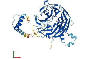 Protein Structure (PS) image for Cleavage Stimulation Factor, 3' Pre-RNA, Subunit 1, 50kDa (CSTF1) (AA 1-431) protein (His tag) (ABIN7546774)