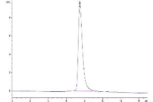 Size-exclusion chromatography-High Pressure Liquid Chromatography (SEC-HPLC) image for Tumor Necrosis Factor Receptor Superfamily, Member 21 (TNFRSF21) (AA 42-349) protein (His tag) (ABIN7274497)