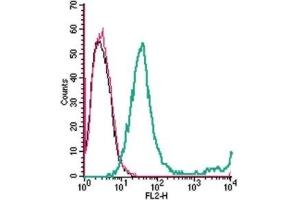Cell surface detection of GPR65 in live intact mouse EL4 T-cell lymphoma cells: (black line) Cells. (GPR65 抗体  (Extracellular) (PE))