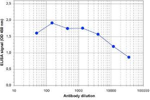 ELISA of anti-TASP1 antibody ELISA results of Rabbit anti-TASP1 antibody. (TASP1 抗体  (Internal Region, N-Term))