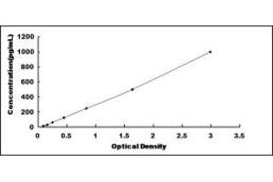 Typical standard curve (FGF11 ELISA 试剂盒)