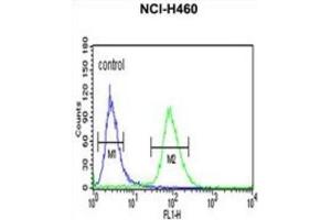 Flow Cytometry (FACS) image for anti-Isocitrate Dehydrogenase 3 (NAD+) gamma (IDH3G) antibody (ABIN3004326) (IDH3G 抗体)