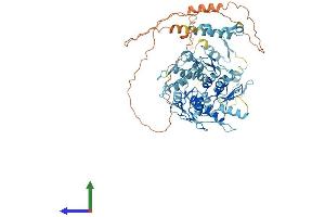 Protein Structure (PS) image for Zinc Finger Protein 28 (ZFP28) (AA 1-718) protein (His tag) (ABIN7545595)