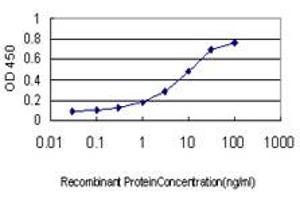 Detection limit for recombinant GST tagged SFTPD is approximately 0. (SFTPD 抗体  (AA 21-375))