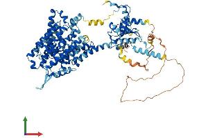 Protein Structure (PS) image for Solute Carrier Family 26, Member 9 (Slc26a9) (AA 1-790) protein (His tag) (ABIN7564430)
