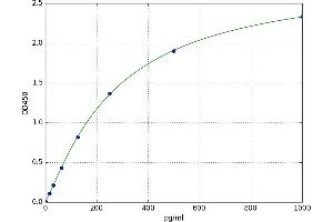Fibroblast Growth Factor 20 (FGF20) ELISA Kit