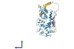 Protein Structure (PS) image for Zinc Finger Protein 557 (ZNF557) (AA 1-423) protein (His tag) (ABIN7545813)