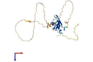 AlphaFold protein structure predicition of Human Recombinant RBM11 Protein, UniprotID P57052 (RBM11 Protein (AA 1-281) (His tag))