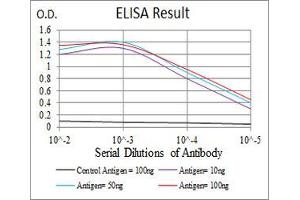 ELISA image for anti-Potassium Voltage-Gated Channel, Shal-Related Subfamily, Member 2 (KCND2) (AA 27-184) antibody (ABIN5542461)