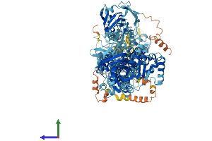 Protein Structure (PS) image for ATPase, Class I, Type 8A, Member 1 (ATP8A1) (AA 1-1164) protein (His tag) (ABIN7552437)