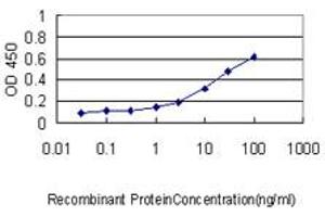 Detection limit for recombinant GST tagged TTK is approximately 0. (Mps1 抗体  (AA 1-176))